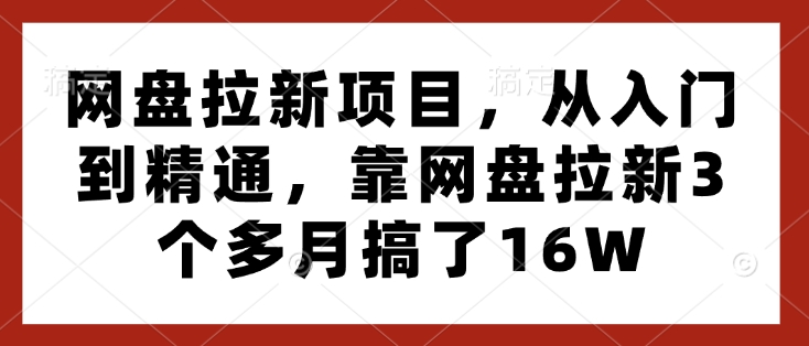 网盘拉新项目，从入门到精通，靠网盘拉新3个多月搞了16W-网赚项目平台