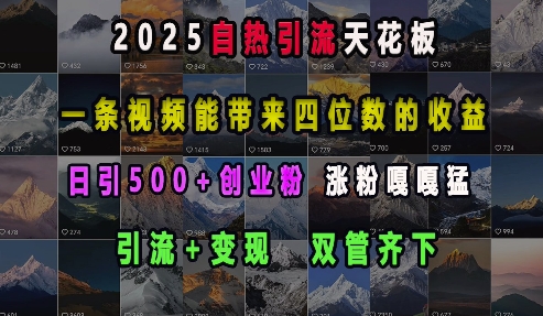 2025自热引流天花板，一条视频能带来四位数的收益，引流+变现双管齐下，日引500+创业粉，涨粉嘎嘎猛-网赚项目平台