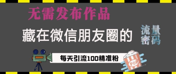 藏在微信朋友圈的流量密码，无需发布作品，单日引流100+精准创业粉【揭秘】-网赚项目平台