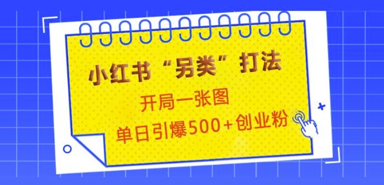 小红书“另类”打法，开局一张图，单日引爆500+精准创业粉【揭秘】-网赚项目平台