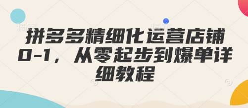 拼多多精细化运营店铺0-1，从零起步到爆单详细教程-网赚项目平台