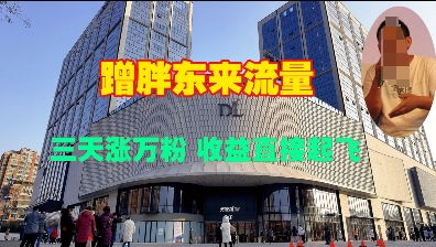 蹭胖东来流量，三天涨万粉，收益直接起飞-网赚项目平台