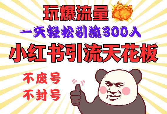 小红书引流天花板，玩爆流量，一天轻松引流300人，安全操作-网赚项目平台