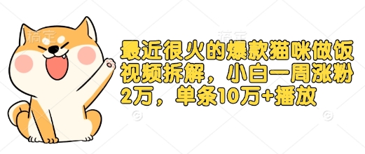 最近很火的爆款猫咪做饭视频拆解，小白一周涨粉2万，单条10万+播放(附保姆级教程)-网赚项目平台