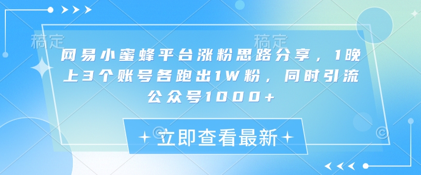 网易小蜜蜂平台涨粉思路分享，1晚上3个账号各跑出1W粉，同时引流公众号1000+-网赚项目平台