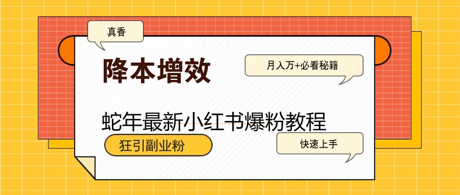 蛇年最新小红书爆粉教程，狂引副业粉，月入万+必看-网赚项目平台