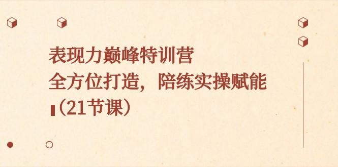 表现力巅峰特训营，全方位打造，陪练实操赋能（21节课）-网赚项目平台