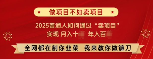 必看，做项目不如卖项目，2025普通人如何通过“卖项目”实现月入十个，年入百个-网赚项目平台