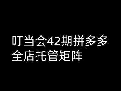 叮当会拼多多打爆班原创高阶技术第42期，拼多多全店托管矩阵-网赚项目平台