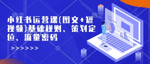 小红书运营课(图文+短视频)基础规则、策划定位、流量密码-网赚项目平台