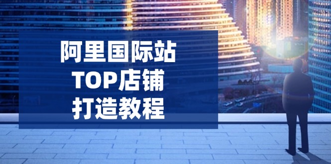 阿里国际站TOP店铺打造教程：涵盖平台到高阶，解决运营难题，提升询盘-网赚项目平台