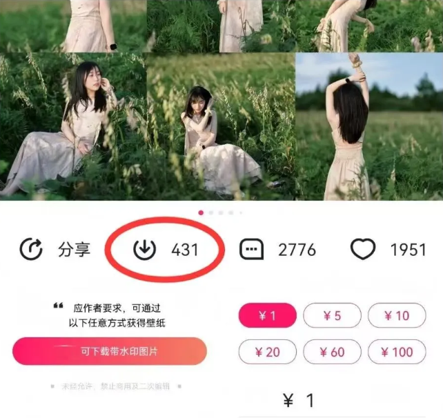 最新图虫搬运项目，收益无上限，利用AI小白也可日赚500+-网赚项目平台