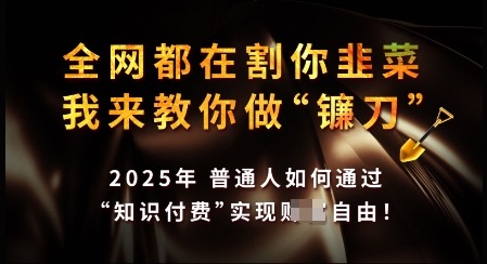 知识付费如何做到月入过W+，2025我来教你做“镰刀”【揭秘】-网赚项目平台