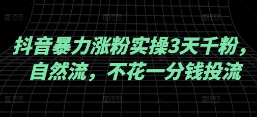 抖音暴力涨粉实操3天千粉，自然流，不花一分钱投流，实操经验分享-网赚项目平台