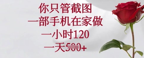 你只管截图，一部手机在家做，一小时120.一天5张【揭秘】-网赚项目平台