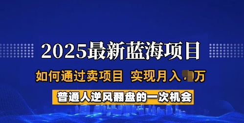 2025蓝海项目，普通人如何通过卖项目，实现月入过W，全过程【揭秘】-网赚项目平台