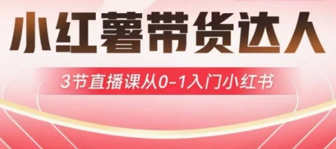 小红薯达人带货启航计划，3节直播课从0-1入门小红书-网赚项目平台