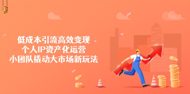低成本引流高效变现，个人IP资产化运营，小团队撬动大市场新玩法-网赚项目平台