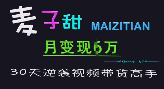 麦子甜30天逆袭视频带货高手，单月变现6W加特训营-网赚项目平台