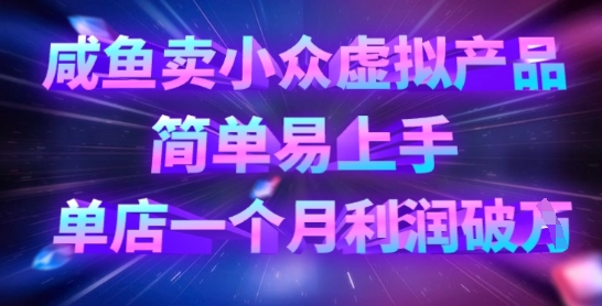 咸鱼卖小众虚拟产品，简单易上手，单店一个月利润破W-网赚项目平台
