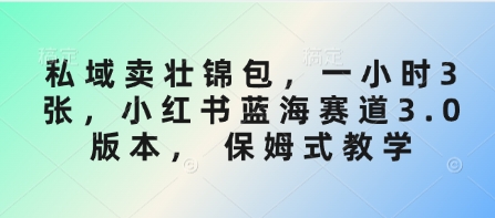 私域卖壮锦包，一小时3张，小红书蓝海赛道3.0版本， 保姆式教学-网赚项目平台