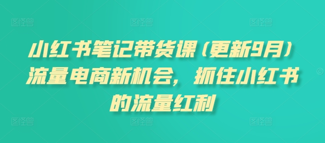 小红书笔记带货课(更新25年3月)流量电商新机会，抓住小红书的流量红利-网赚项目平台