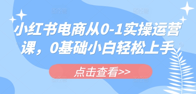 小红书电商从0-1实操运营课，0基础小白轻松上手-网赚项目平台