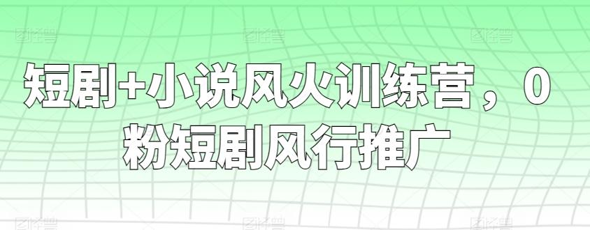 短剧+小说风火训练营，0粉短剧风行推广-网赚项目平台