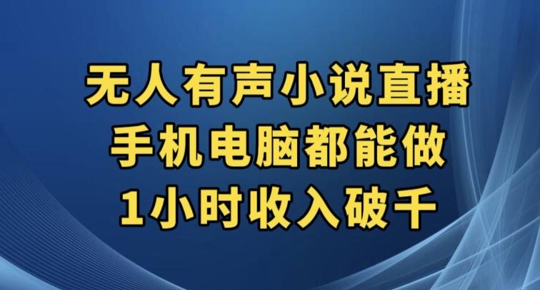 抖音无人有声小说直播，手机电脑都能做，1小时收入破千【揭秘】-网赚项目平台