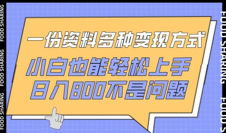 一份资料多种变现方式，小白也能轻松上手，日入800不是问题【揭秘】-网赚项目平台