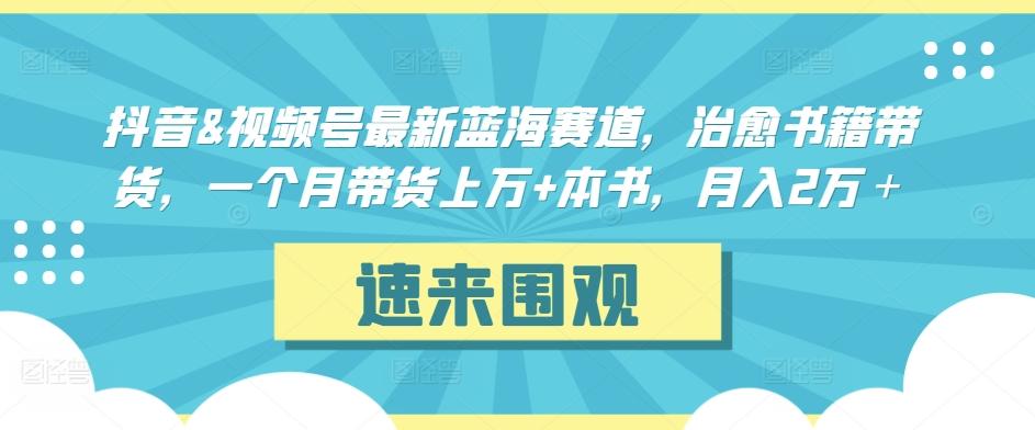 抖音&视频号最新蓝海赛道，治愈书籍带货，一个月带货上万+本书，月入2万＋【揭秘】-网赚项目平台