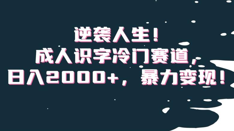逆袭人生！成人识字冷门赛道，日入2000+，暴力变现！【揭秘】-网赚项目平台