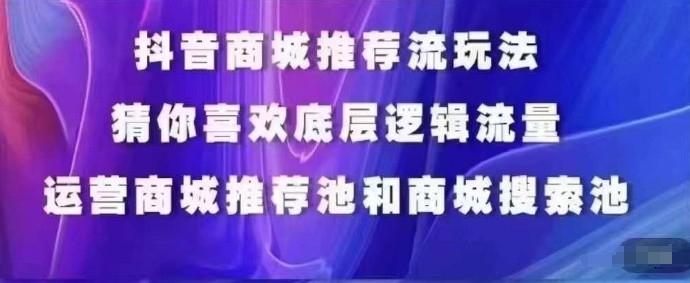 抖音商城运营课程，猜你喜欢入池商城搜索商城推荐人群标签覆盖-网赚项目平台