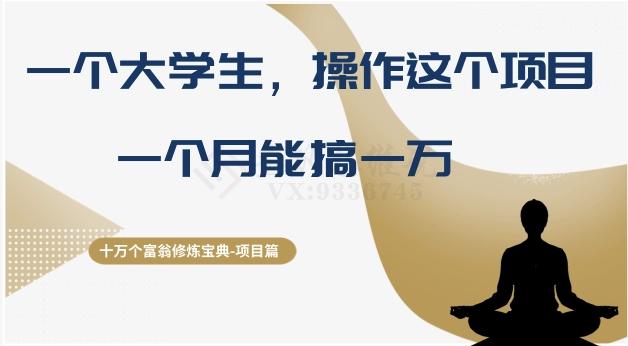 十万个富翁修炼宝典之4.一个大学生操作这个项目，一个月能搞一万-网赚项目平台