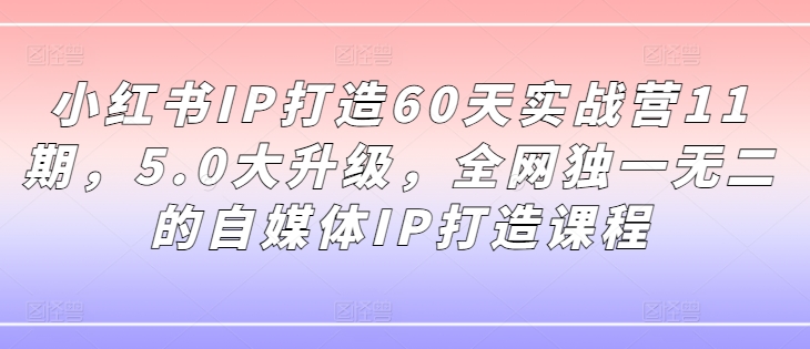 小红书IP打造60天实战营11期，5.0大升级，全网独一无二的自媒体IP打造课程-网赚项目平台