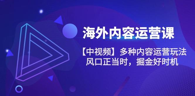 海外内容 运营课【中视频】多种内容运营玩法 风口正当时 掘金好时机-101节-网赚项目平台