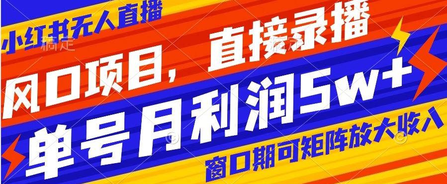 风口项目，小红书无人直播带货，直接录播，可矩阵，月入5w+【揭秘】-网赚项目平台