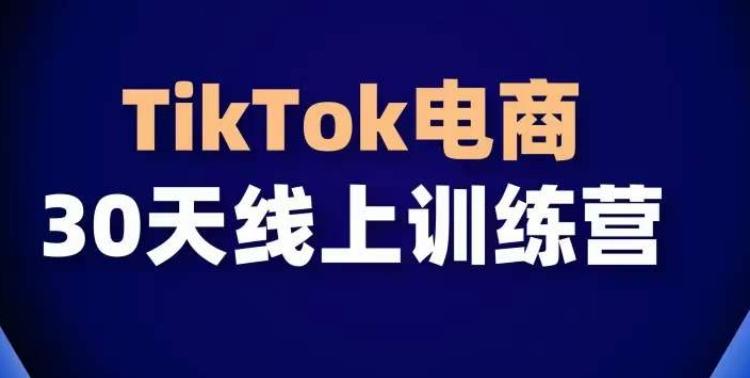 TikTok电商带货30天线上课，不可错过的全球流量洼地！-网赚项目平台