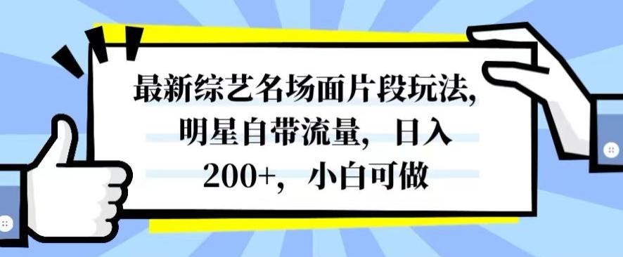 最新综艺名场面片段玩法，明星自带流量，日入200+，小白可做【揭秘】-网赚项目平台
