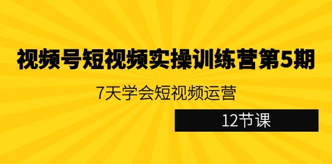 视频号短视频实操训练营第5期：7天学会短视频运营(12节课)-网赚项目平台