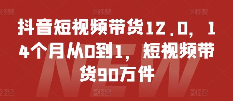 抖音短视频带货12.0，14个月从0到1，短视频带货90万件-网赚项目平台