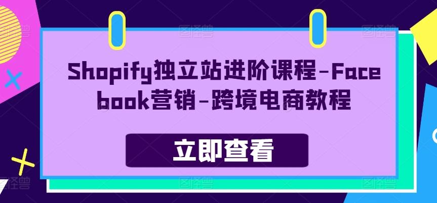 Shopify独立站进阶课程-Facebook营销-跨境电商教程-网赚项目平台