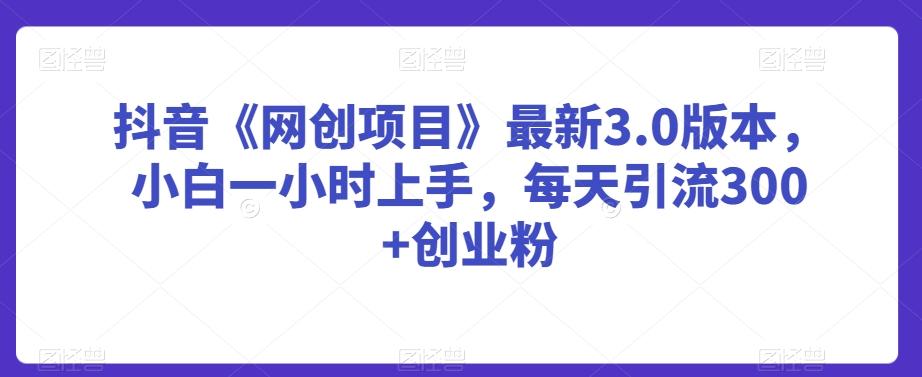 抖音《网创项目》最新3.0版本，小白一小时上手，每天引流300+创业粉【揭秘】-网赚项目平台