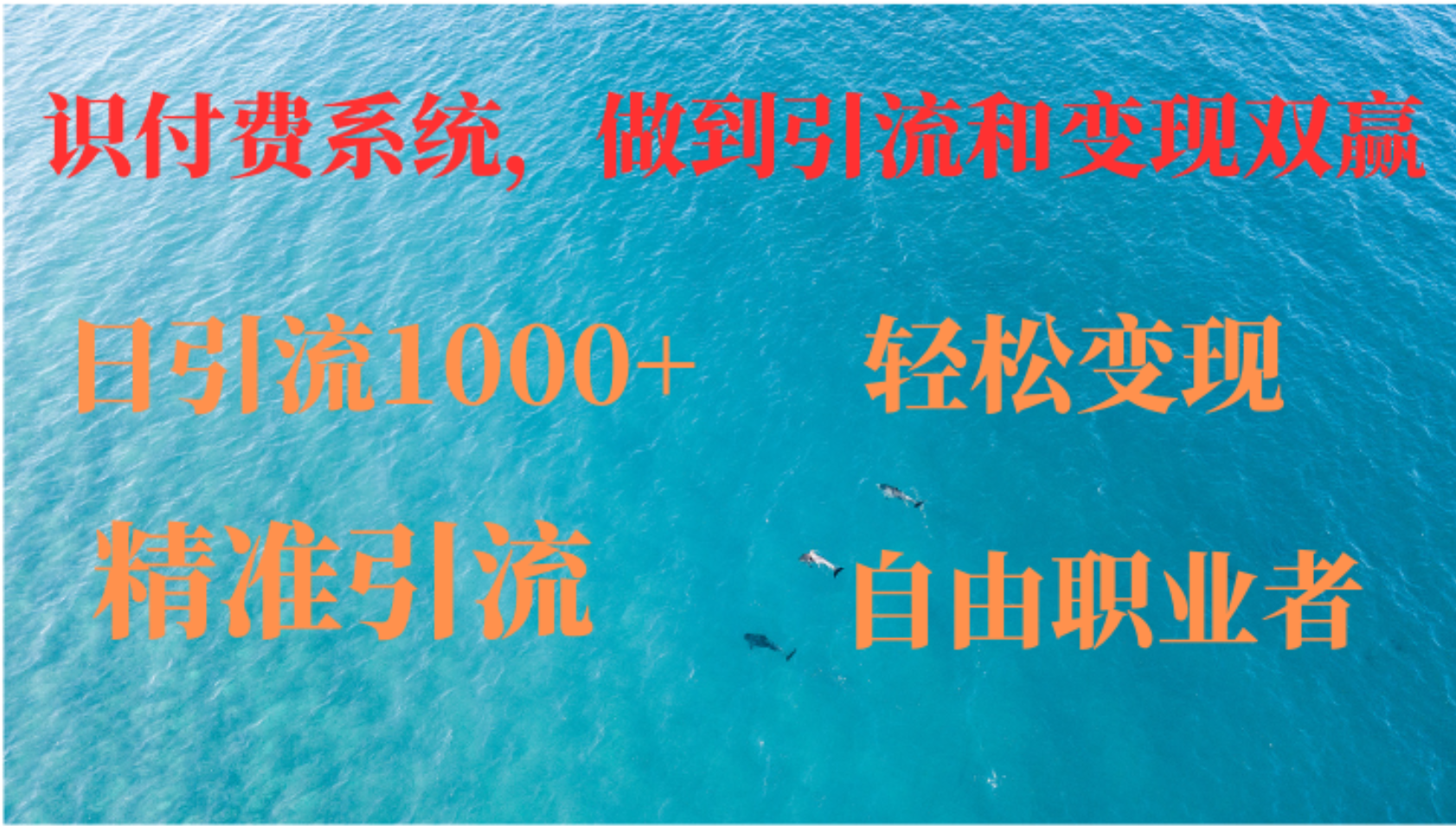 如何搭建自己的知识付费系统，做到引流和变现双赢-网赚项目平台