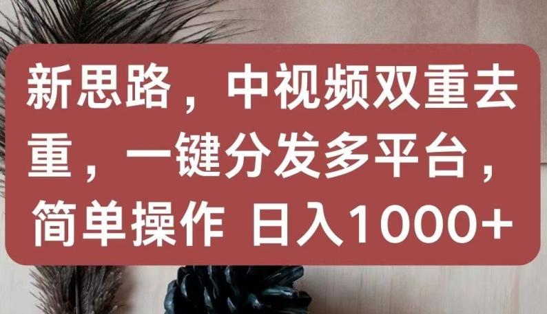 新思路，中视频双重去重，一键分发多平台，简单操作，日入1000+【揭秘】-网赚项目平台