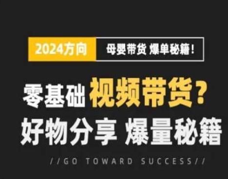短视频母婴赛道实操流量训练营，零基础视频带货，好物分享，爆量秘籍-网赚项目平台