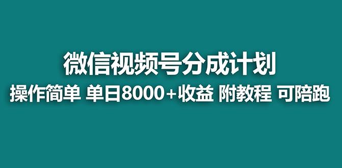 【蓝海项目】视频号分成计划最新玩法，单天收益8000+，附玩法教程，24年…-网赚项目平台