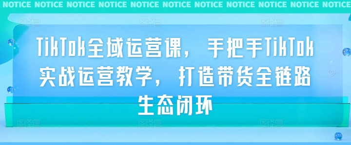 TikTok全域运营课，手把手TikTok实战运营教学，打造带货全链路生态闭环-网赚项目平台