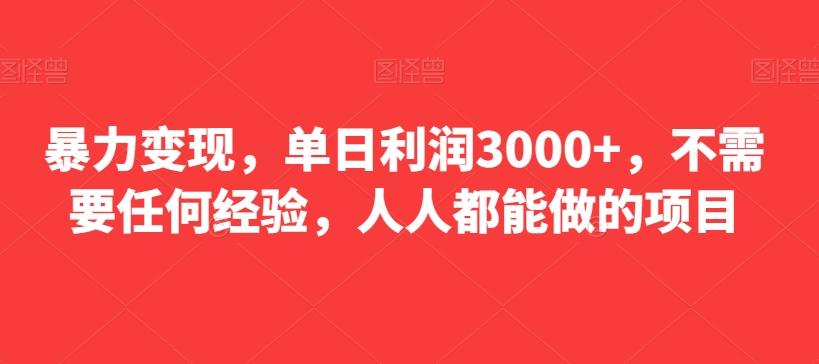 暴力变现，单日利润3000+，不需要任何经验，人人都能做的项目-网赚项目平台