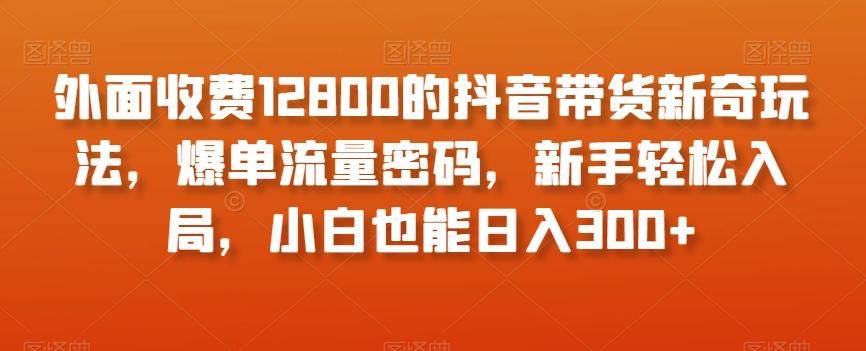外面收费12800的抖音带货新奇玩法，爆单流量密码，新手轻松入局，小白也能日入300+【揭秘】-网赚项目平台